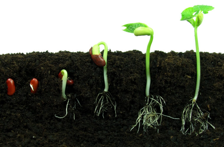 Supercharge Your Soil For Spring!